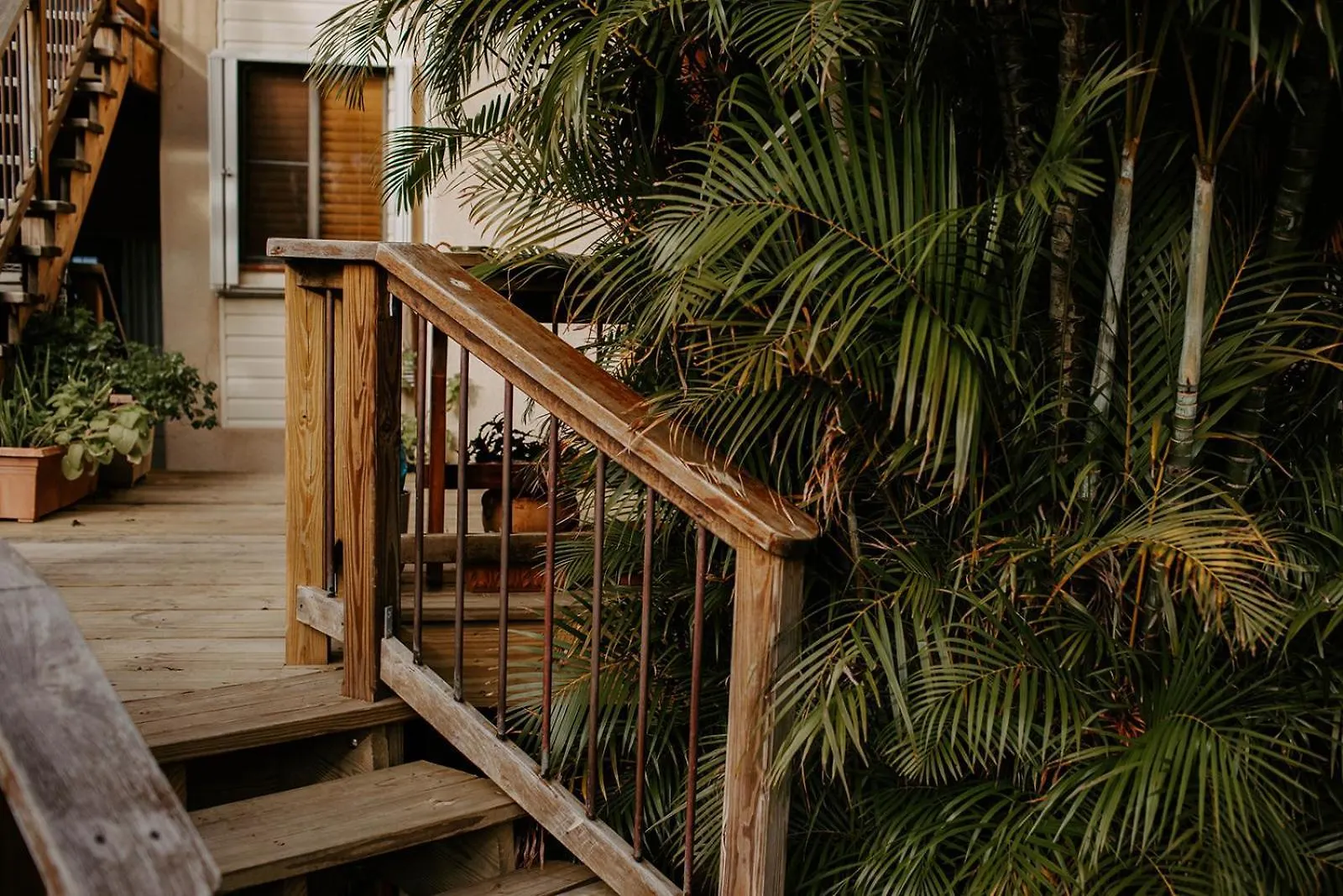 Cruz Bay Tropical Condo Aparthotel Cruz Bay